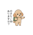 使いやすい長文のトイプー(アプリコット)（個別スタンプ：22）