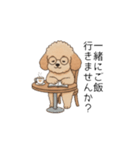 使いやすい長文のトイプー(アプリコット)（個別スタンプ：23）