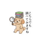 使いやすい長文のトイプー(アプリコット)（個別スタンプ：25）