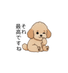 使いやすい長文のトイプー(アプリコット)（個別スタンプ：27）