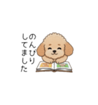 使いやすい長文のトイプー(アプリコット)（個別スタンプ：28）