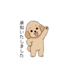 使いやすい長文のトイプー(アプリコット)（個別スタンプ：29）