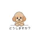 使いやすい長文のトイプー(アプリコット)（個別スタンプ：36）