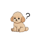 使いやすい長文のトイプー(アプリコット)（個別スタンプ：37）