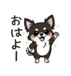 まろ眉わんこの日常スタンプ（個別スタンプ：1）