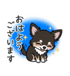 まろ眉わんこの日常スタンプ（個別スタンプ：2）