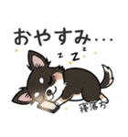 まろ眉わんこの日常スタンプ（個別スタンプ：5）