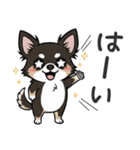 まろ眉わんこの日常スタンプ（個別スタンプ：9）