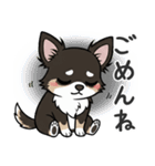 まろ眉わんこの日常スタンプ（個別スタンプ：16）