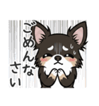 まろ眉わんこの日常スタンプ（個別スタンプ：17）