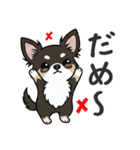 まろ眉わんこの日常スタンプ（個別スタンプ：26）