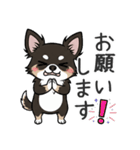 まろ眉わんこの日常スタンプ（個別スタンプ：27）