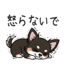 まろ眉わんこの日常スタンプ（個別スタンプ：28）