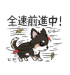 まろ眉わんこの日常スタンプ（個別スタンプ：29）