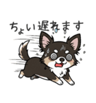 まろ眉わんこの日常スタンプ（個別スタンプ：34）