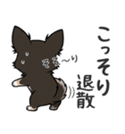 まろ眉わんこの日常スタンプ（個別スタンプ：37）