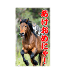 BIG表示！いつだって猫年気分の年賀スタンプ（個別スタンプ：1）