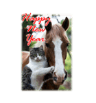 BIG表示！いつだって猫年気分の年賀スタンプ（個別スタンプ：5）