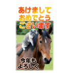 BIG表示！いつだって猫年気分の年賀スタンプ（個別スタンプ：6）