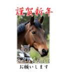 BIG表示！いつだって猫年気分の年賀スタンプ（個別スタンプ：7）