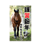 BIG表示！いつだって猫年気分の年賀スタンプ（個別スタンプ：8）