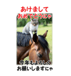 BIG表示！いつだって猫年気分の年賀スタンプ（個別スタンプ：9）