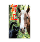 BIG表示！いつだって猫年気分の年賀スタンプ（個別スタンプ：10）