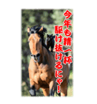 BIG表示！いつだって猫年気分の年賀スタンプ（個別スタンプ：11）