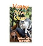 BIG表示！いつだって猫年気分の年賀スタンプ（個別スタンプ：13）