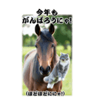 BIG表示！いつだって猫年気分の年賀スタンプ（個別スタンプ：15）