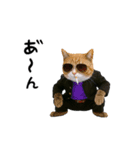 動く★ニャンキー！（個別スタンプ：1）