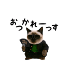 動く★ニャンキー！（個別スタンプ：6）