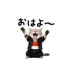 動く★ニャンキー！（個別スタンプ：7）