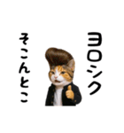 動く★ニャンキー！（個別スタンプ：8）