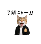 動く★ニャンキー！（個別スタンプ：12）