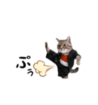 動く★ニャンキー！（個別スタンプ：14）