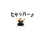 動く★ニャンキー！（個別スタンプ：17）