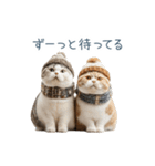 構ってほしい猫ちゃん【連絡・かわいい】（個別スタンプ：6）