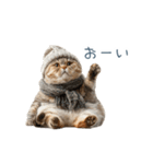 構ってほしい猫ちゃん【連絡・かわいい】（個別スタンプ：7）