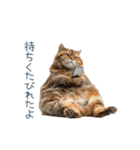 構ってほしい猫ちゃん【連絡・かわいい】（個別スタンプ：8）