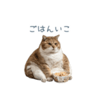 構ってほしい猫ちゃん【連絡・かわいい】（個別スタンプ：11）