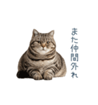 構ってほしい猫ちゃん【連絡・かわいい】（個別スタンプ：12）