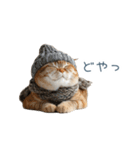 構ってほしい猫ちゃん【連絡・かわいい】（個別スタンプ：14）