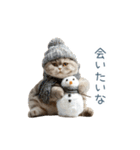 構ってほしい猫ちゃん【連絡・かわいい】（個別スタンプ：15）