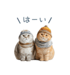 構ってほしい猫ちゃん【連絡・かわいい】（個別スタンプ：20）