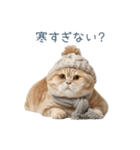 構ってほしい猫ちゃん【連絡・かわいい】（個別スタンプ：21）