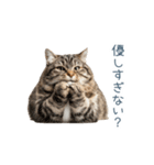 構ってほしい猫ちゃん【連絡・かわいい】（個別スタンプ：26）