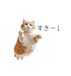 構ってほしい猫ちゃん【連絡・かわいい】（個別スタンプ：30）