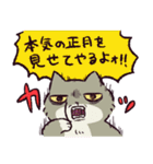 【毎年使える！】年末年始のチベスナ(再販)（個別スタンプ：17）