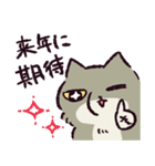 【毎年使える！】年末年始のチベスナ(再販)（個別スタンプ：27）